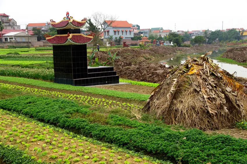 Family grave in rice paddies, Vietnam