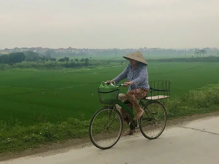 Riding Home From the Rice Fields