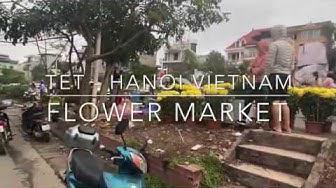 'Video thumbnail for Flower Market During TET (Lunar New Year) - Hanoi Vietnam - An Insiders Guide'