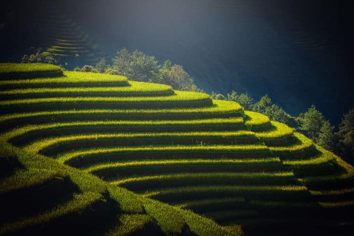 Terraced Rice Fields iin Mu Cang Chai, Yen Bai, Vietnam