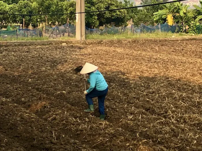 Preparing the soil to plant again