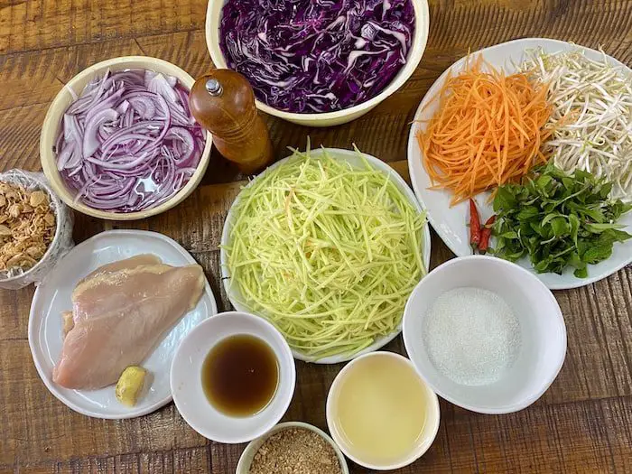 Vietnamese Green Mango, Carrot and Red Cabbage Chicken Salad Recipe Ingredients