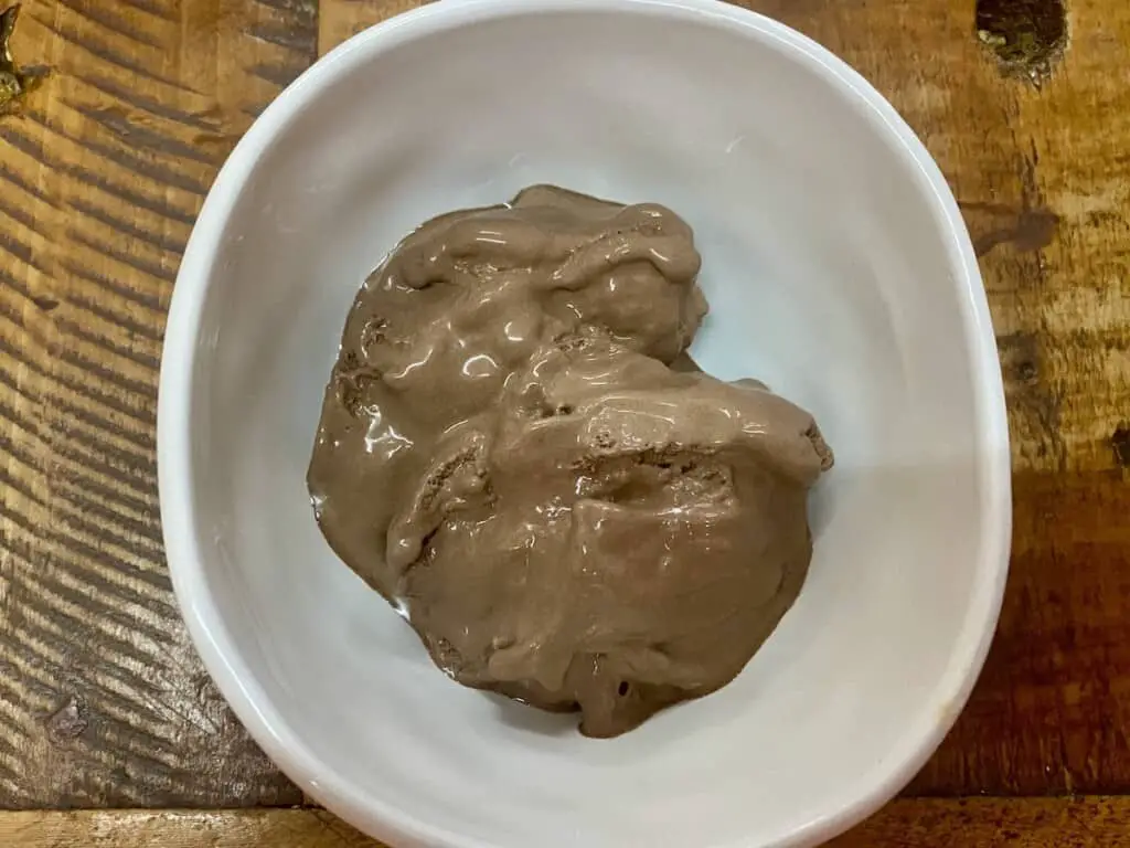 Homemade Sugar-free Chocolate Coconut Ice Cream