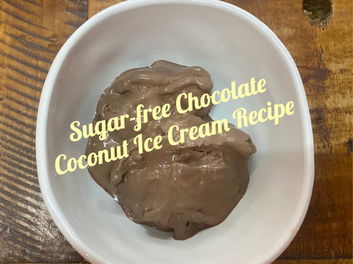 The Best Sugar-free Homemade Chocolate Coconut Ice Cream Recipe