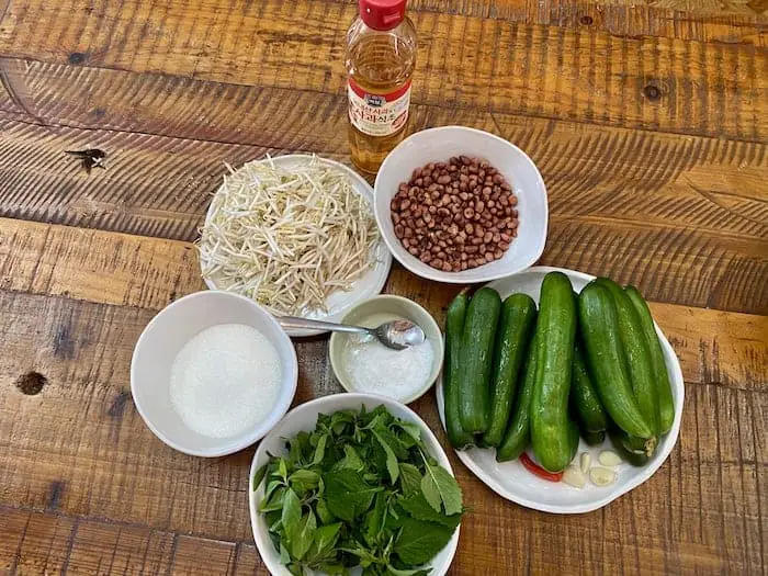 Vietnam Cucumber Peanut Salad Ingredients