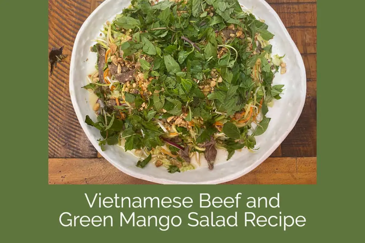 Vietnamese Beef and Green Mango Salad Recipe