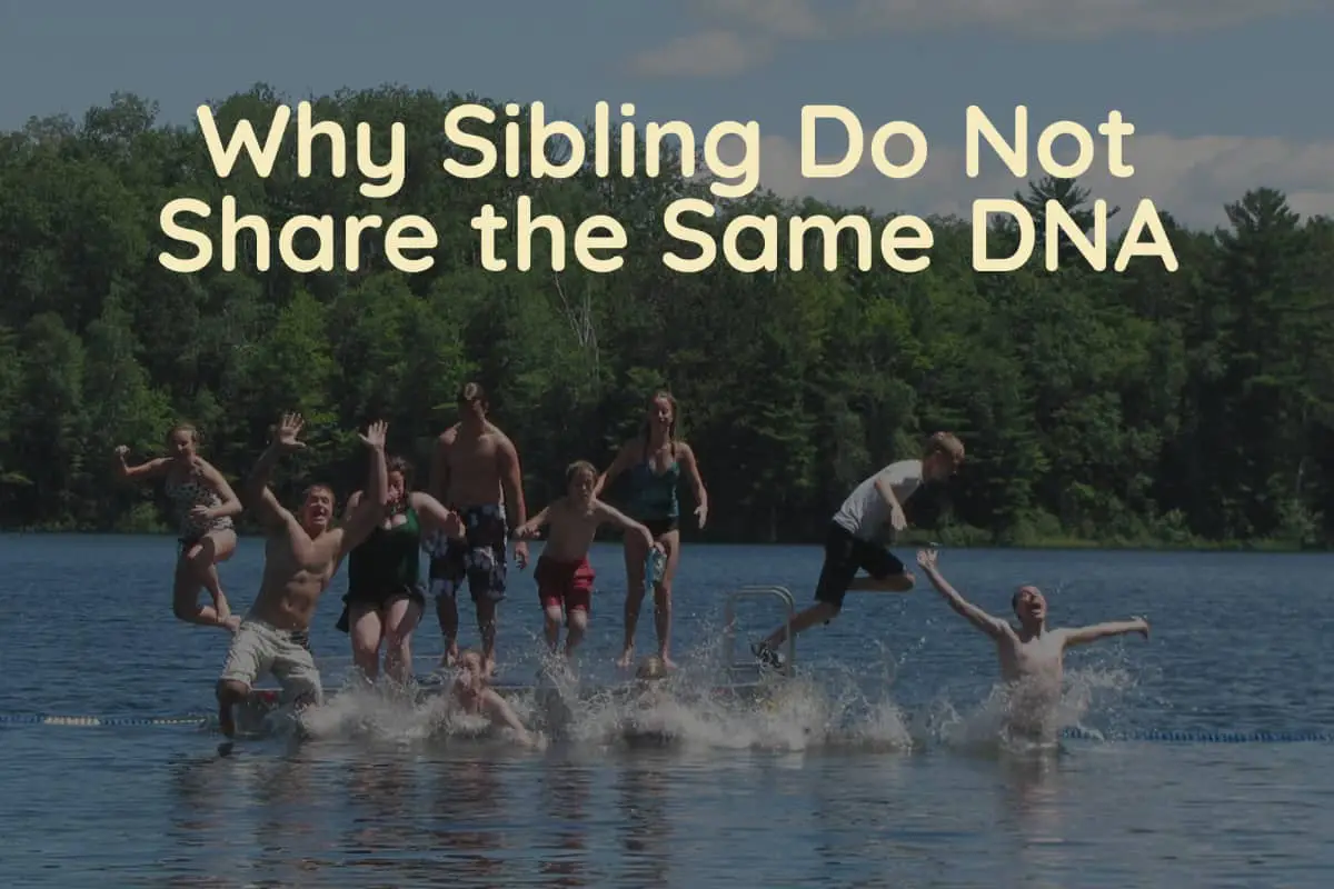 Wny Siblings Do Not Share The Same DNA