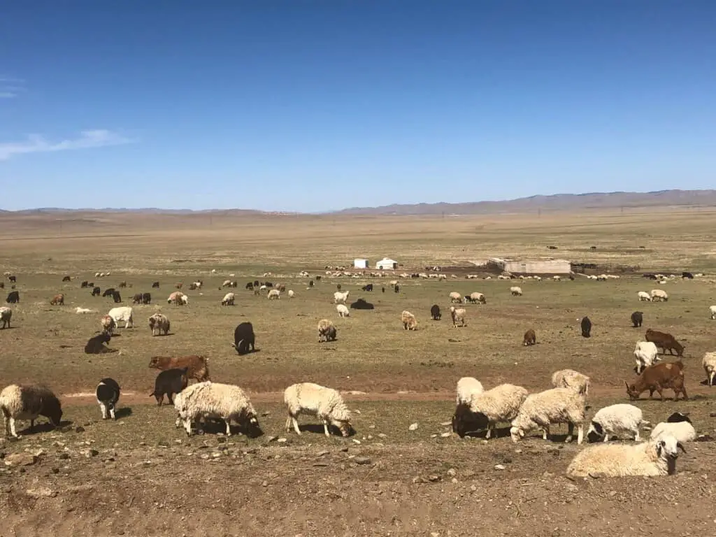 Mongolia's Countryside