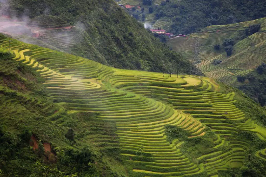 Sapa Vietnam Has Amazing Rice Terrace Fields