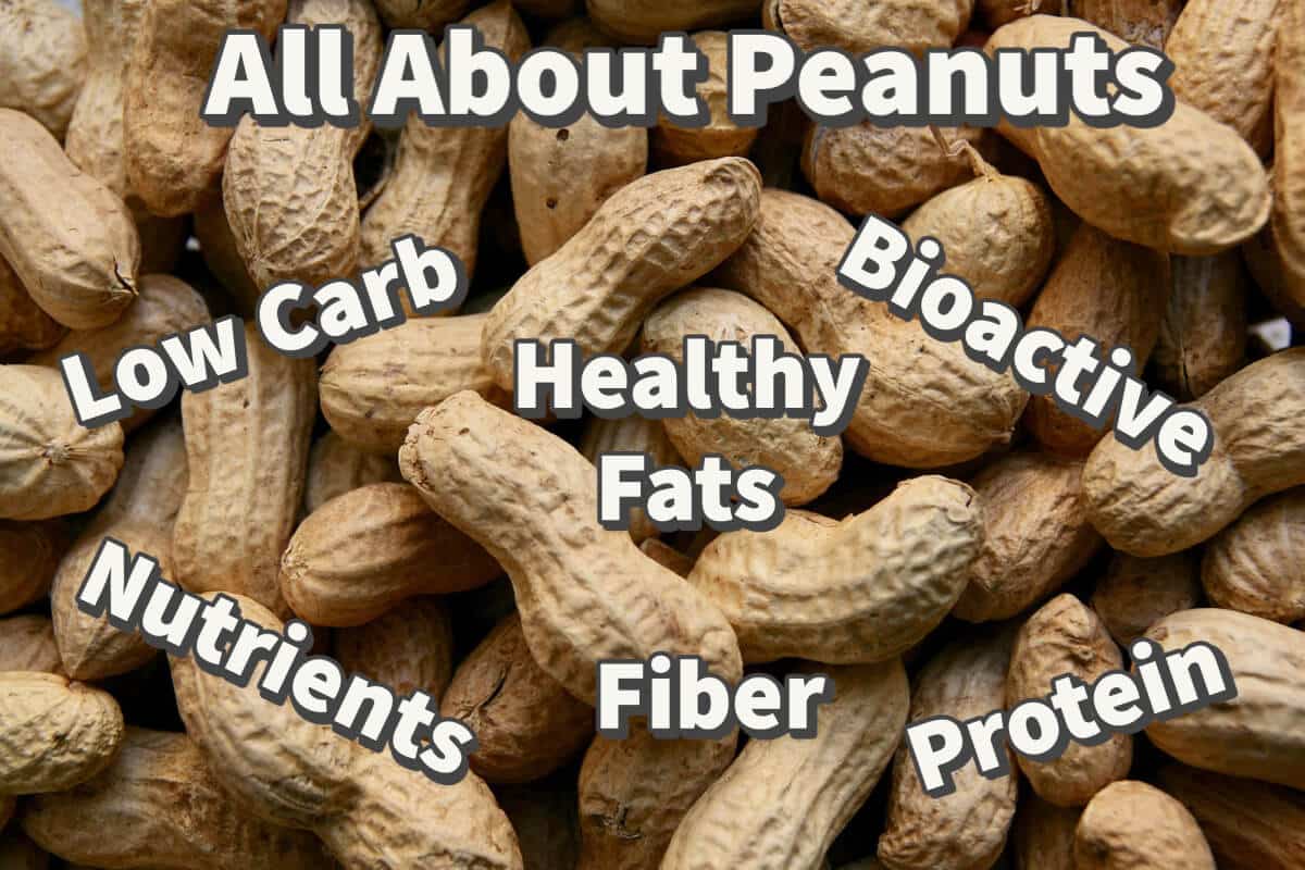 Vietnamese Peanut Dipping Sauce Recipe (Sốt Bơ Đậu Phộng) A Bus On a