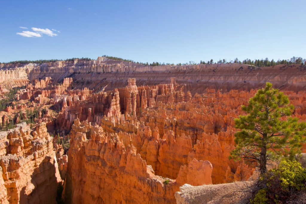 Zion and Bryce: The Great Outdoors