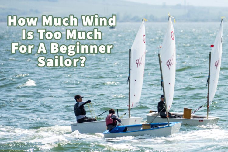 How Much Wind Is Too Much For A Beginner Sailor? A Bus On a Dusty Road
