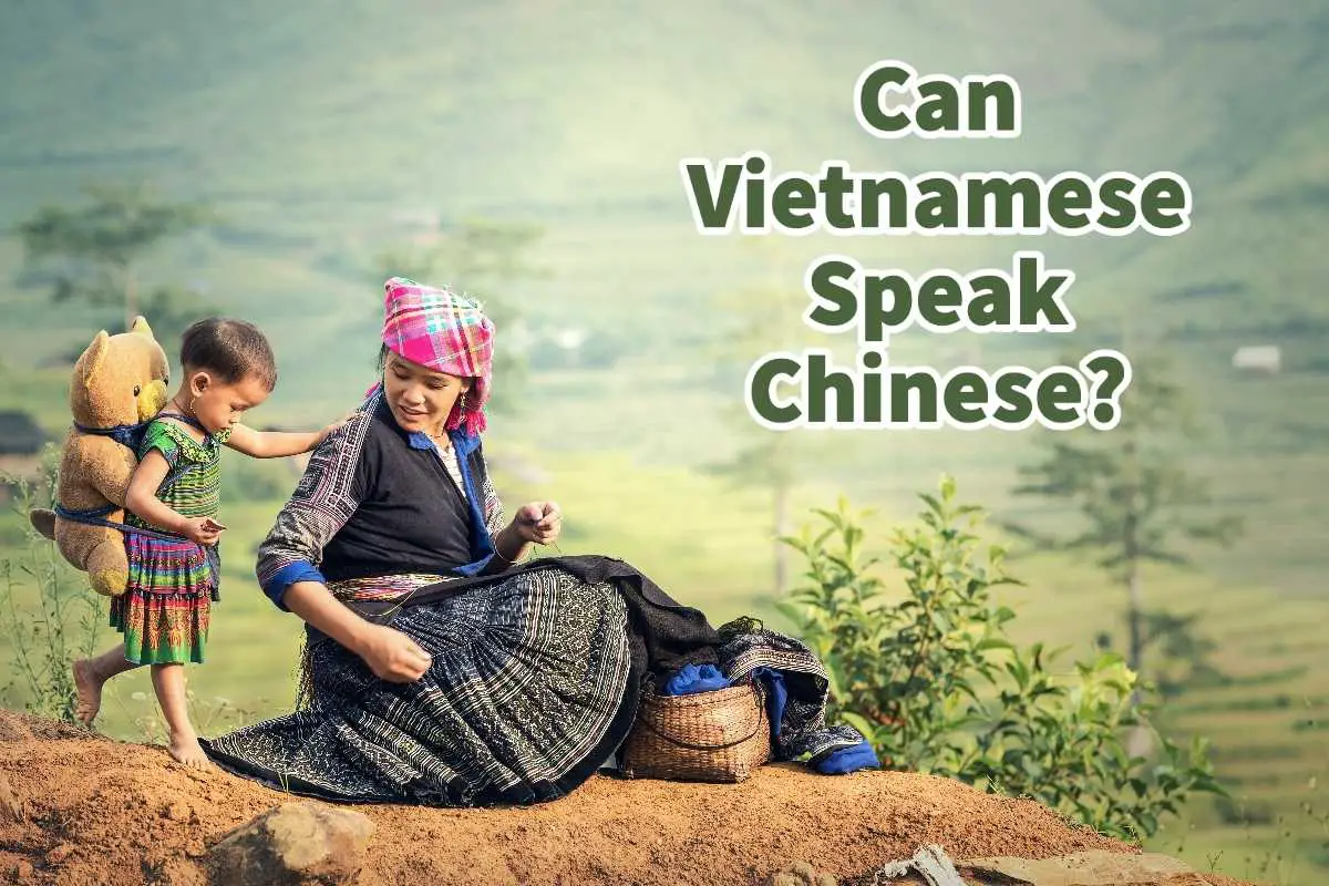 Can Vietnamese Speak Chinese?