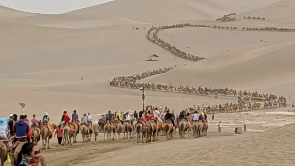 Traders worldwide joined camel caravans on the Silk Road to find their luck in China.