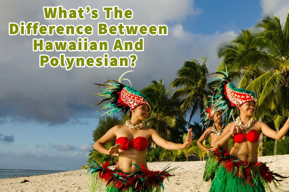 What’s The Difference Between Hawaiian And Polynesian?