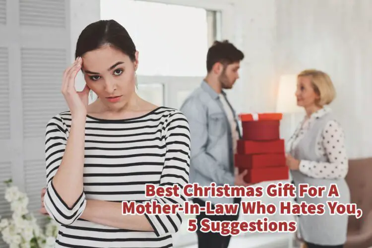 Best Christmas Gift For A MotherInLaw Who Hates You, 5 Suggestions