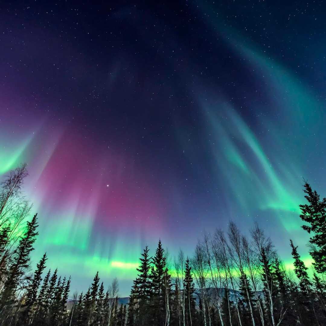 Top 10 Places In The United States To See The Northern Lights - A Bus ...