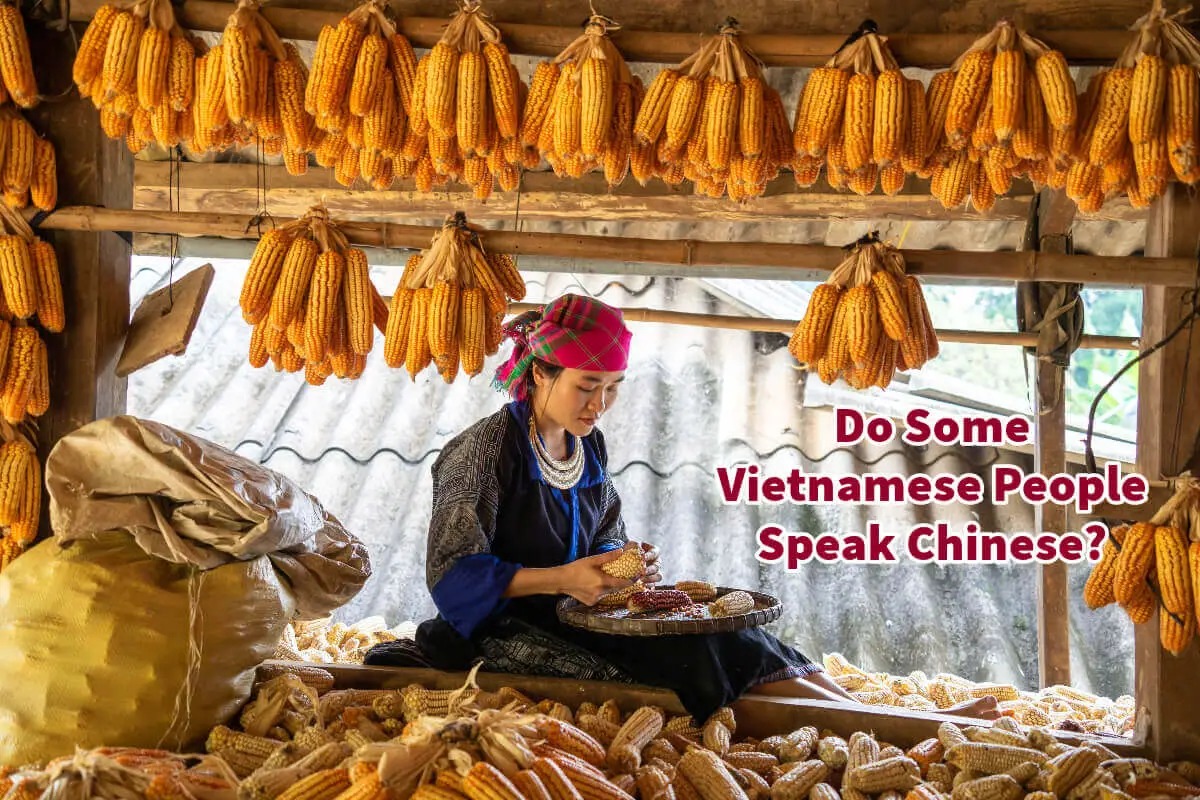 Do Some Vietnamese People Speak Chinese?