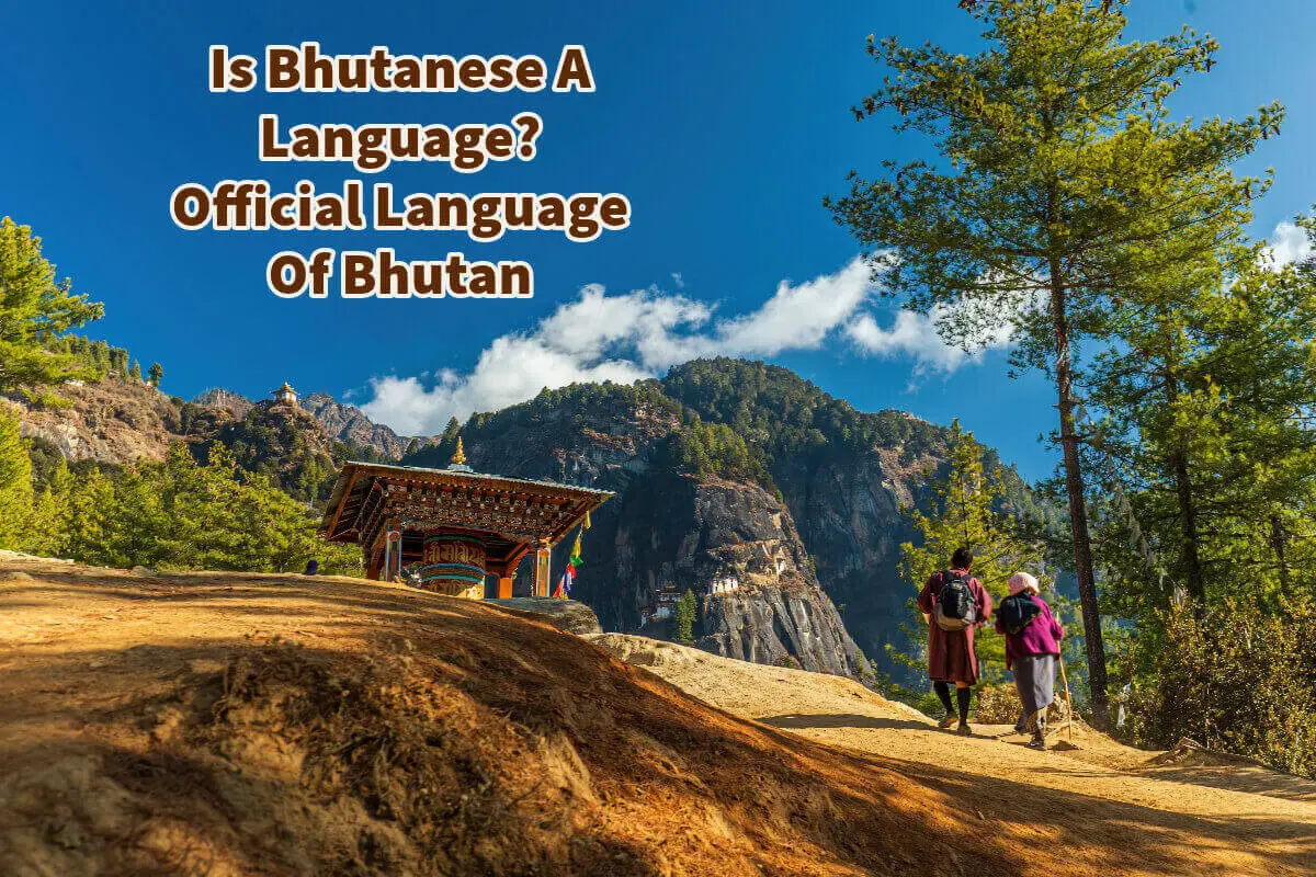 Is Bhutanese A Language? Official Language Of Bhutan