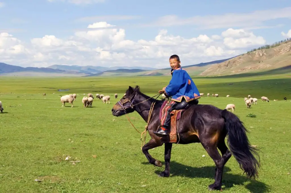 A young mongol kid riding a horse