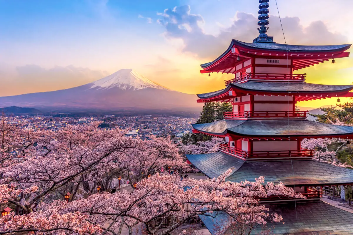 Unlocking the Secrets of ‘Hana’: A Japanese Wandering Tale