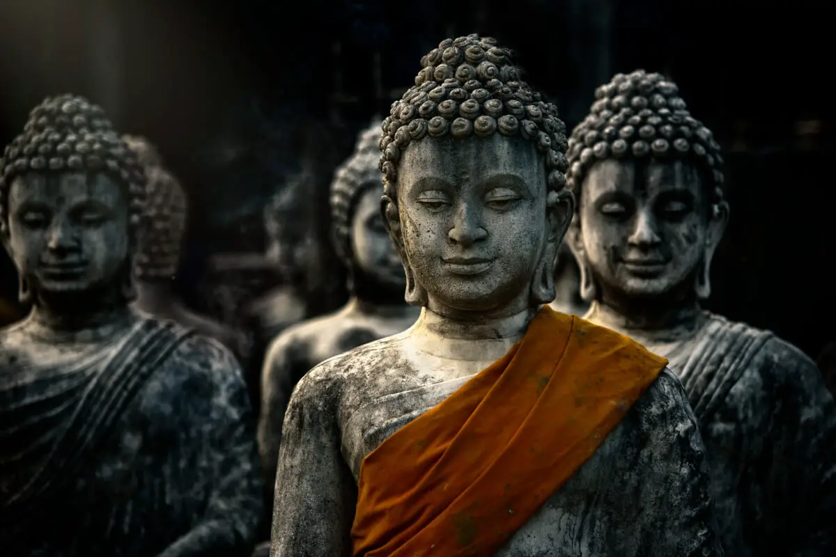 Exploring Buddhism: Practices & Beliefs