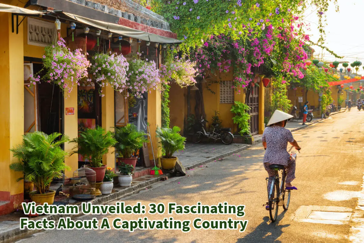 Vietnam Unveiled: 30 Fascinating Facts About A Captivating Country