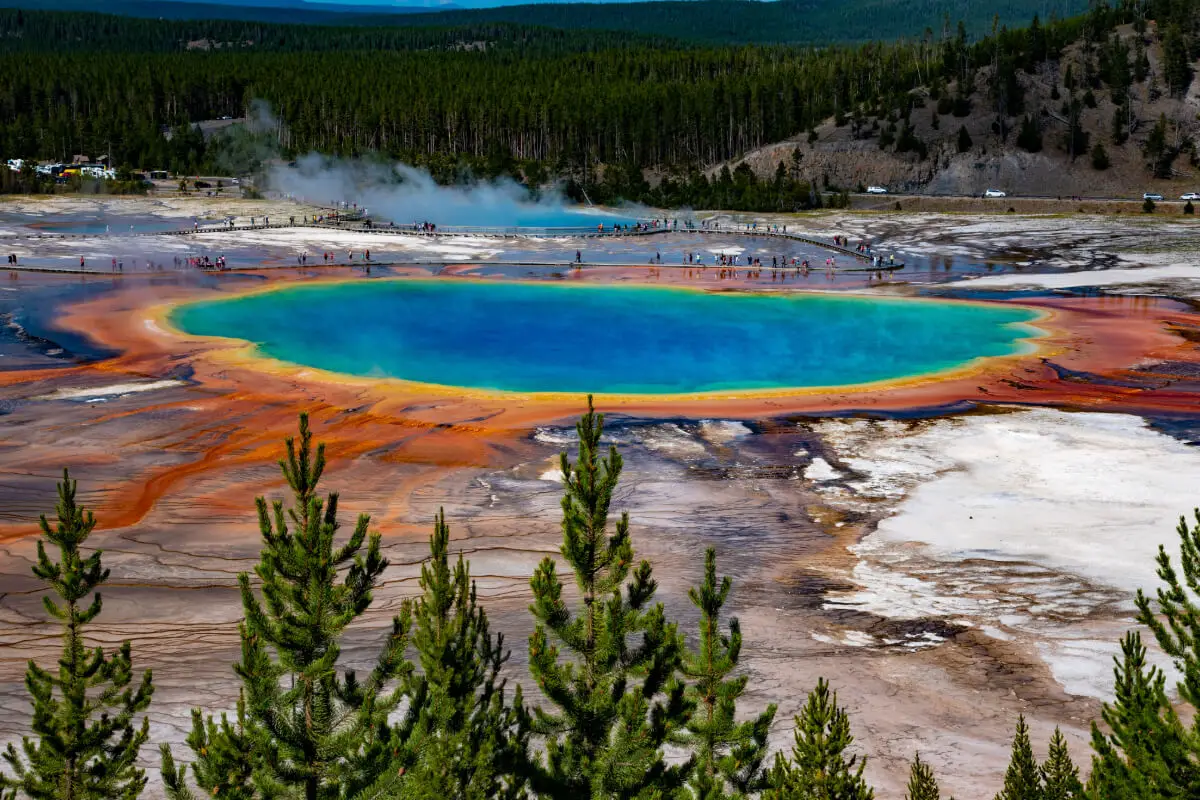 Yellowstone Park Guide: Tips & Secrets