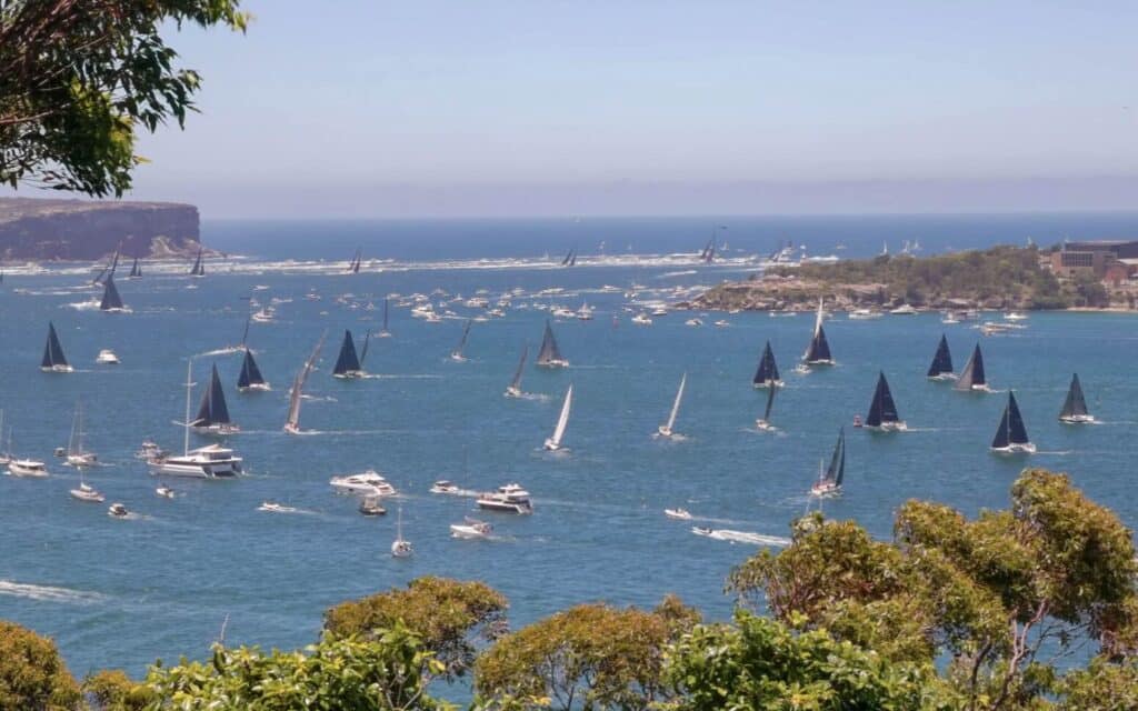 a large group of sailboats in the water
