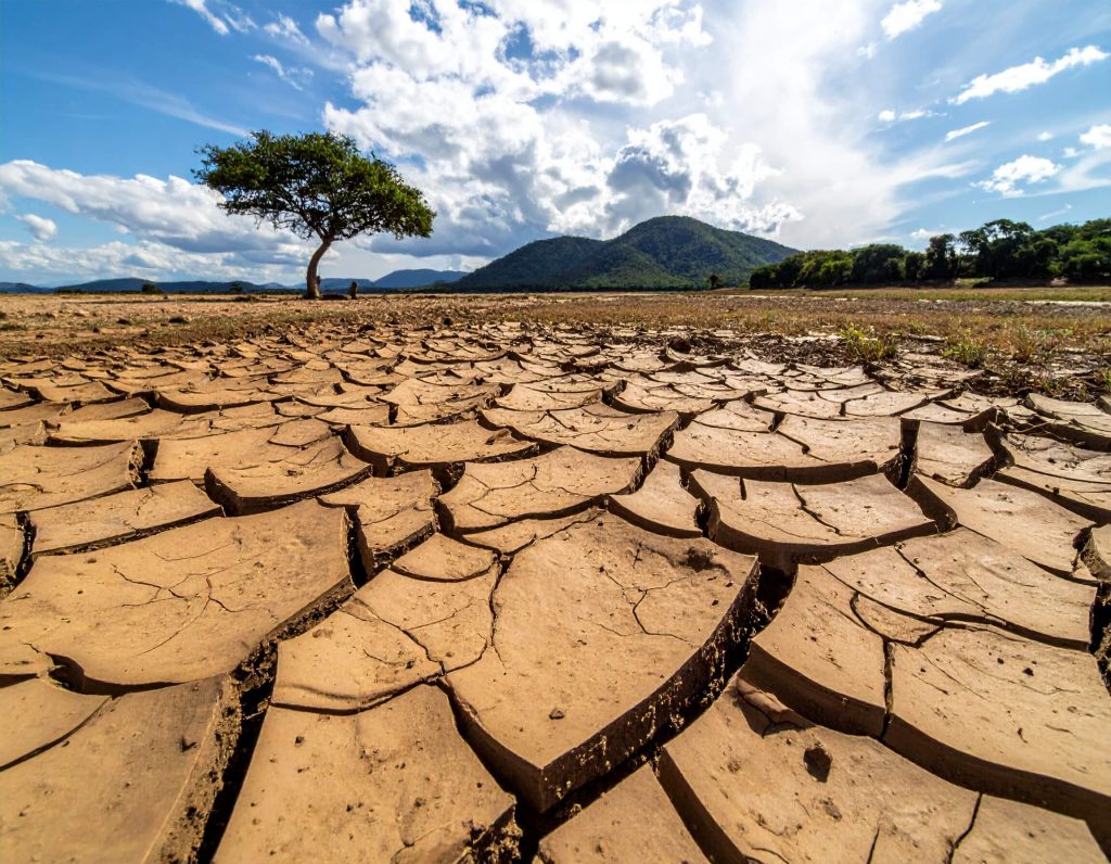 Drought in Africa makes it difficult to grow anything.