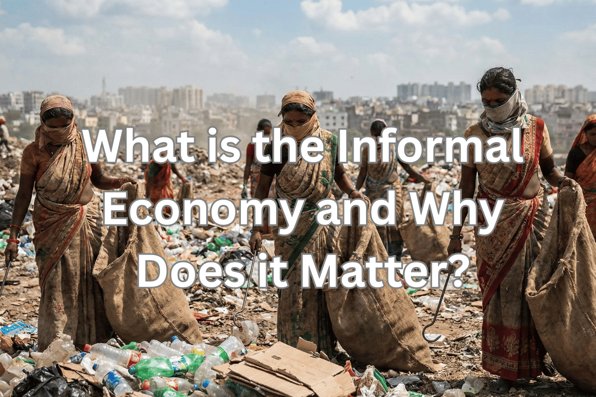 What is the Informal Economy and Why Does it Matter?